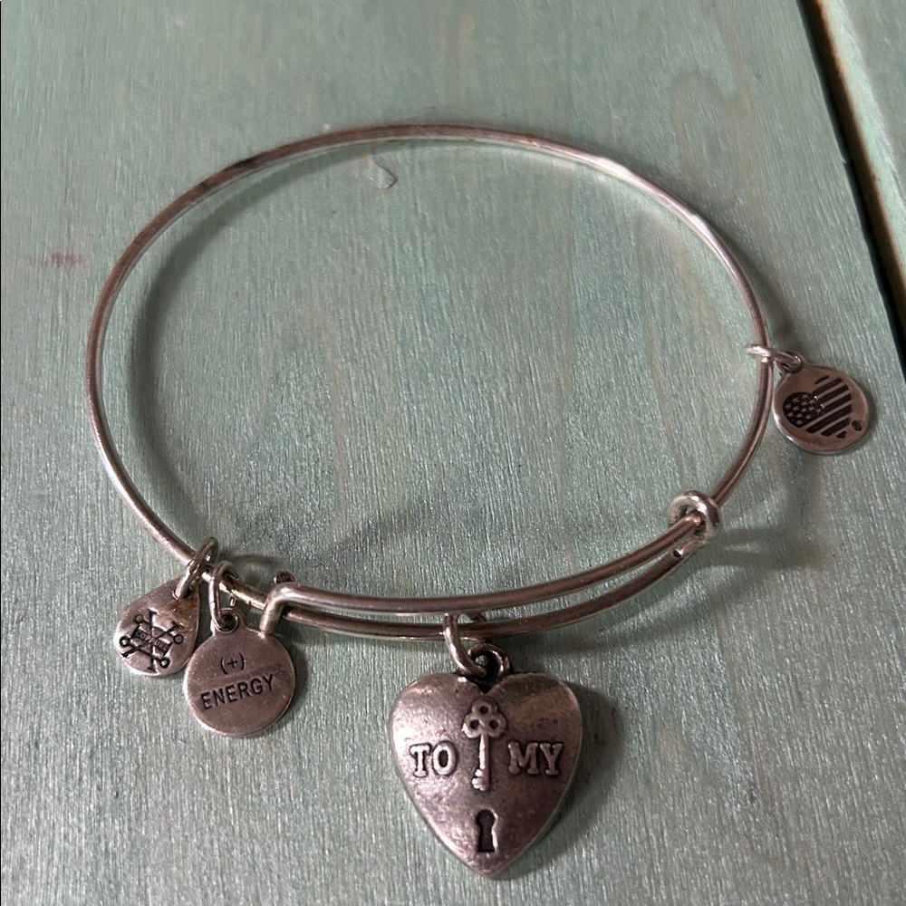 Alex and Ani Silver Charm Bracelet